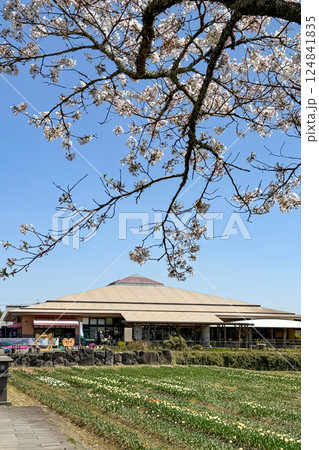 満開の桜と道の駅原尻の滝 124841835