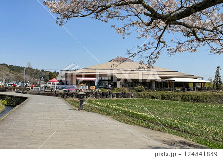 満開の桜と道の駅原尻の滝 満開の桜と道の駅原尻の滝 124841839