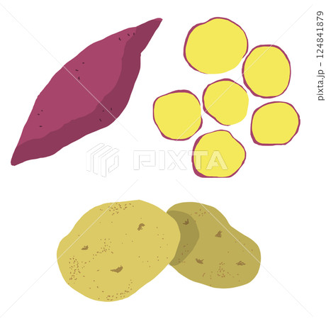 さつまいもとジャガイモのイラスト 124841879