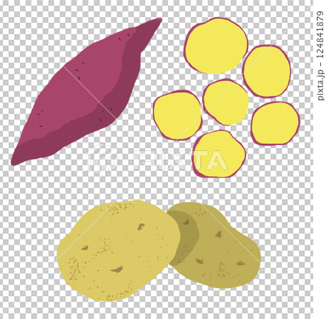さつまいもとジャガイモのイラスト 124841879