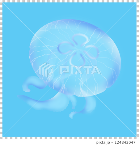 Moon jellyfish_light blue 124842047