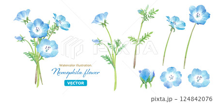 春の花:ネモフィラの花束の水彩イラスト。構成要素のアソート。(ベクター) 春の花:ネモフィラの花束の水彩イラスト。構成要素のアソート。(ベクター) 124842076