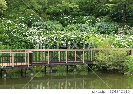 まんのう公園 1 まんのう公園 1 124842110