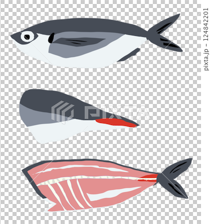 阿齊的插圖 124842201