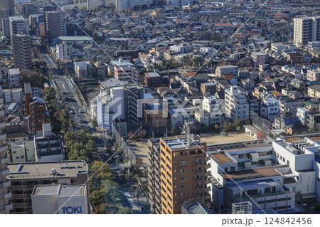 sprawling aerial view of a densely populated urban area Dec 8 2024 sprawling aerial view of a densely populated urban area Dec 8 2024 124842456