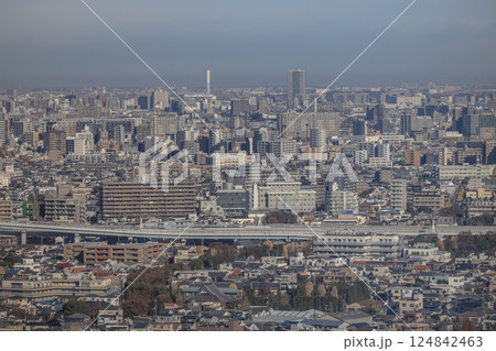 Aerial View of Modern Cityscape With High Rise Buildings Dec 8 2024 124842463