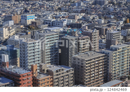 Scenic Cityscape of Edogawa City Tokyo Japan Dec 8 2024 Scenic Cityscape of Edogawa City Tokyo Japan Dec 8 2024 124842469