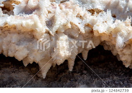 Natural salt stalactites crystals at the Dead Sea Natural salt stalactites crystals at the Dead Sea 124842739