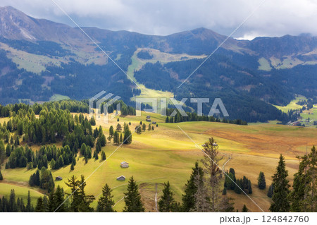Alpe di Siusi, Italy aerial panorama, Dolomites 124842760