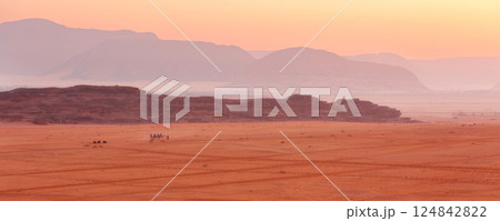 Morning landscape Wadi Rum desert, Jordan, camels 124842822
