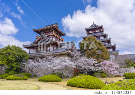 満開の桜と伏見桃山城 124843337