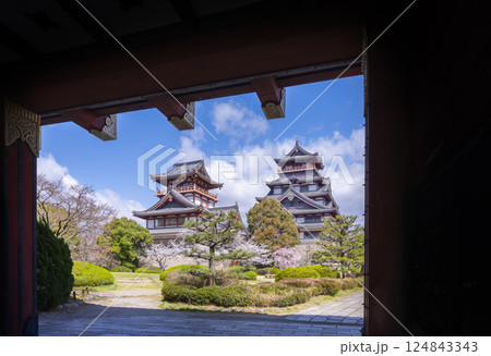 満開の桜と伏見桃山城 124843343