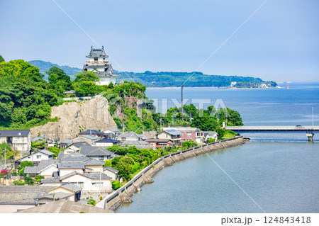 八坂川に掛かる杵築大橋と杵築城 八坂川に掛かる杵築大橋と杵築城 124843418