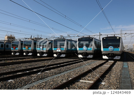 さいたま車両センターまつりで6本並んだ 京浜東北線 E233系 124843469