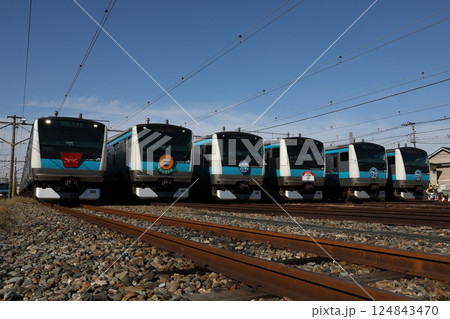 さいたま車両センターまつりで6本並んだ 京浜東北線 E233系 さいたま車両センターまつりで6本並んだ 京浜東北線 E233系 124843470