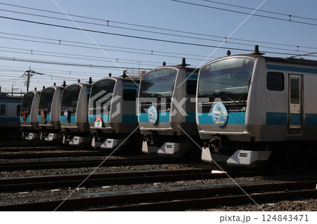 さいたま車両センターまつりで6本並んだ 京浜東北線 E233系 124843471