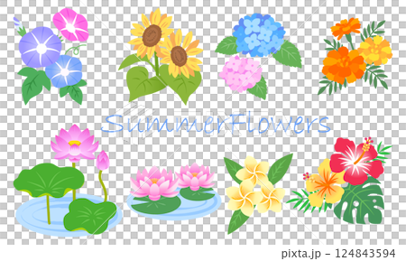 夏の花イラストセット 124843594