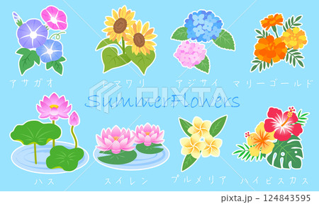 夏の花イラストセット　白いふち付き　 124843595