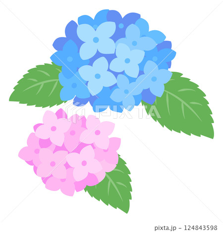 紫陽花の花 イラスト 紫陽花の花 イラスト 124843598