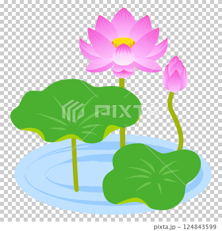 蓮花例證 蓮花例證 124843599