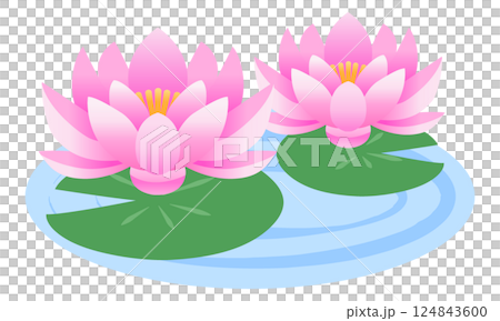 睡蓮の花　イラスト 124843600