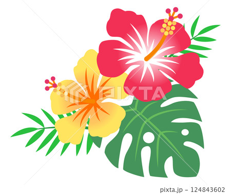 ハイビスカスの花　イラスト 124843602