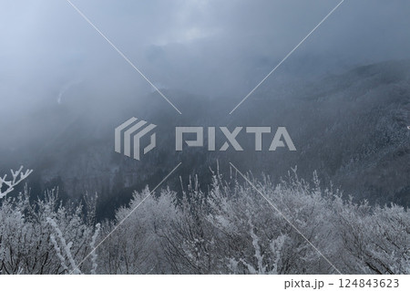 高見山の霧氷 高見山の霧氷 124843623