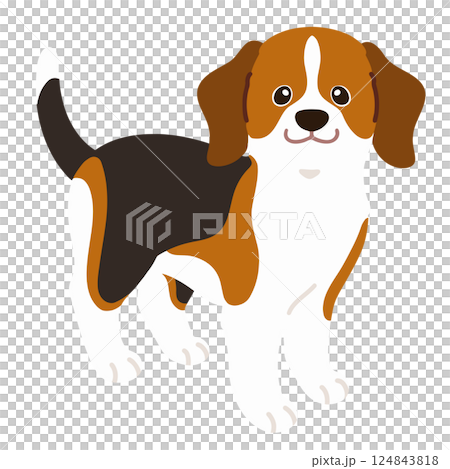 立ち姿のシンプルで可愛いビーグルのイラスト　主線なし 124843818