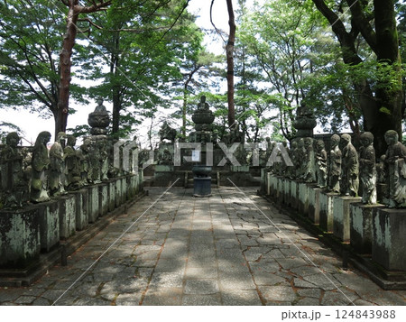 川越市の喜多院にある五百羅漢(釈迦如来・文殊菩薩・普賢菩薩・阿弥陀如来・地蔵菩薩・羅漢) 川越市の喜多院にある五百羅漢(釈迦如来・文殊菩薩・普賢菩薩・阿弥陀如来・地蔵菩薩・羅漢) 124843988