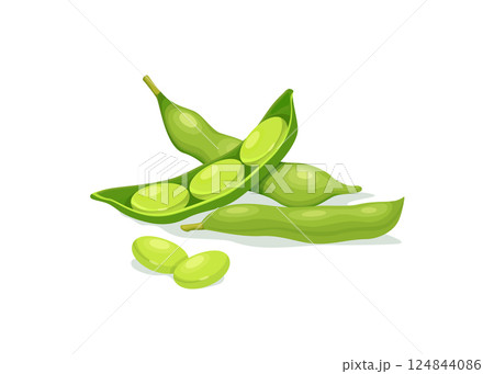 Edamame beans isolated on white background. Stock illustration 124844086