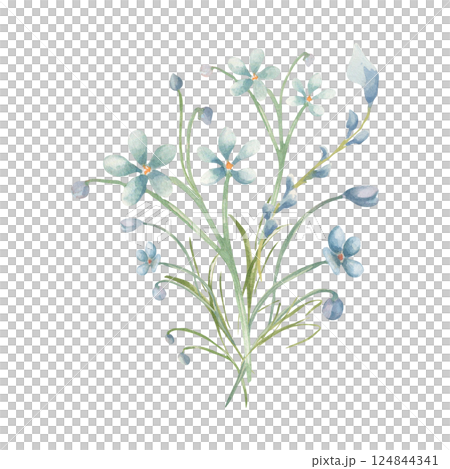 Blue eyed grass, bunch of wildflowers watercolor pastel tones isolated white. Tiny flowers minimalist botanical art, stems, petals and bud drawing. Cottagecore aesthetic for greeting card, stationery. Blue eyed grass, bunch of wildflowers watercolor pastel tones isolated white. Tiny flowers minimalist botanical art, stems, petals and bud drawing. Cottagecore aesthetic for greeting card, stationery. 124844341