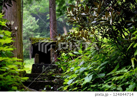 山奥の苔むした祠と緑豊かな木々 山奥の苔むした祠と緑豊かな木々 124844714