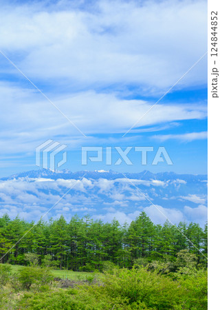 アルプス連峰パノラマ展望台からの眺望【高ボッチ高原】 アルプス連峰パノラマ展望台からの眺望【高ボッチ高原】 124844852