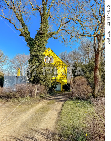 Yellow House on Rural Lane, Bare Trees, Clear Blue Sky, Sunny Day, Countryside. High quality photo 124844935