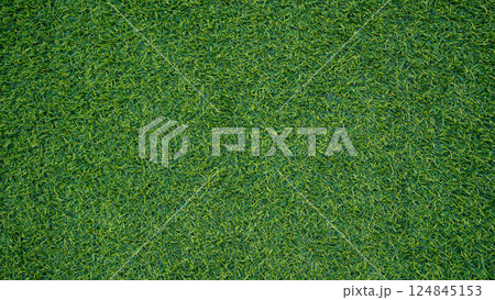 Green grass background, top view background of garden bright grass concept 124845153