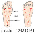 足裏アーチの説明イラスト 足裏アーチの説明イラスト 124845161
