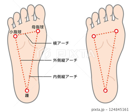 足裏アーチの説明イラスト 124845161