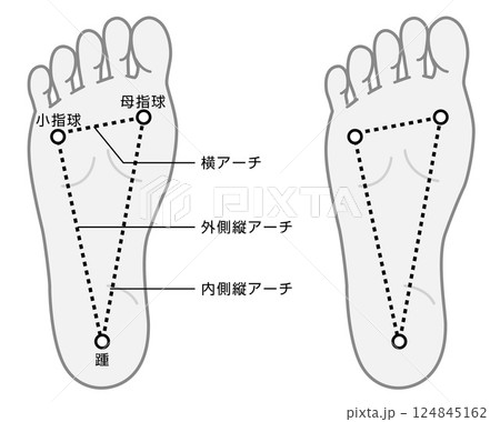 足裏アーチの説明イラスト　モノトーン 124845162