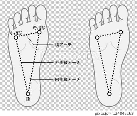 足裏アーチの説明イラスト　モノトーン 124845162