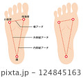 足裏アーチの説明イラスト 足裏アーチの説明イラスト 124845163