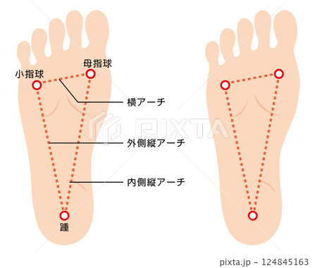 足裏アーチの説明イラスト 124845163