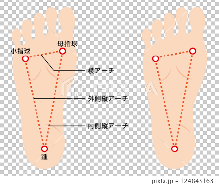 足弓的插圖 足弓的插圖 124845163