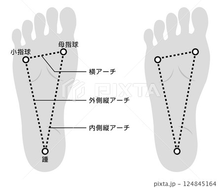 足裏アーチの説明イラスト　モノトーン 124845164