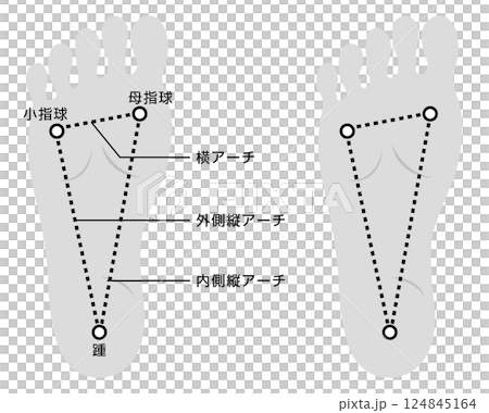 足裏アーチの説明イラスト　モノトーン 124845164