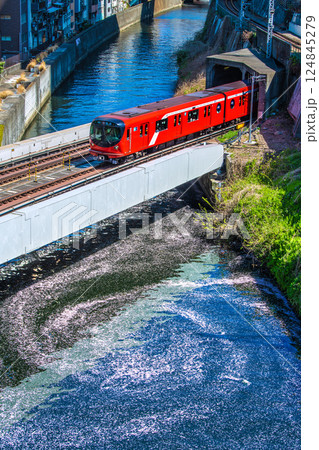 日本の東京都市景観 新景。御茶ノ水駅前の聖橋から丸ノ内線2000系や渦巻く花筏。二度とない光景… 124845279