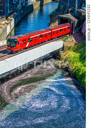 日本の東京都市景観 新景。御茶ノ水駅前の聖橋から丸ノ内線2000系や渦巻く花筏。二度とない光景… 124845282