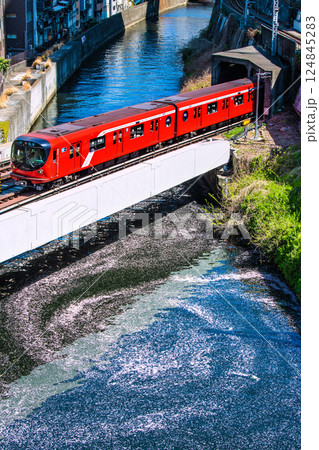 日本の東京都市景観 新景。御茶ノ水駅前の聖橋から渦巻く花筏と丸ノ内線2000系。二度とない光景… 124845283