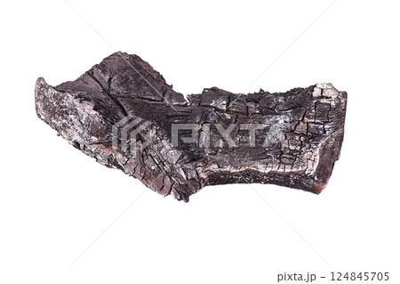Burt, charred black wood piece 124845705