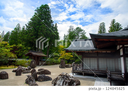 高野山 金剛峯寺の蟠龍庭 高野山 金剛峯寺の蟠龍庭 124845825