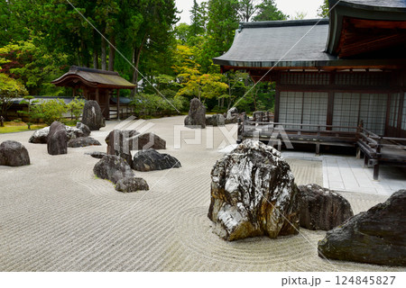 高野山　金剛峯寺の蟠龍庭 124845827